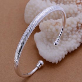 Wholesale Romantic Silver Round Bangle&Cuff TGSPBL103