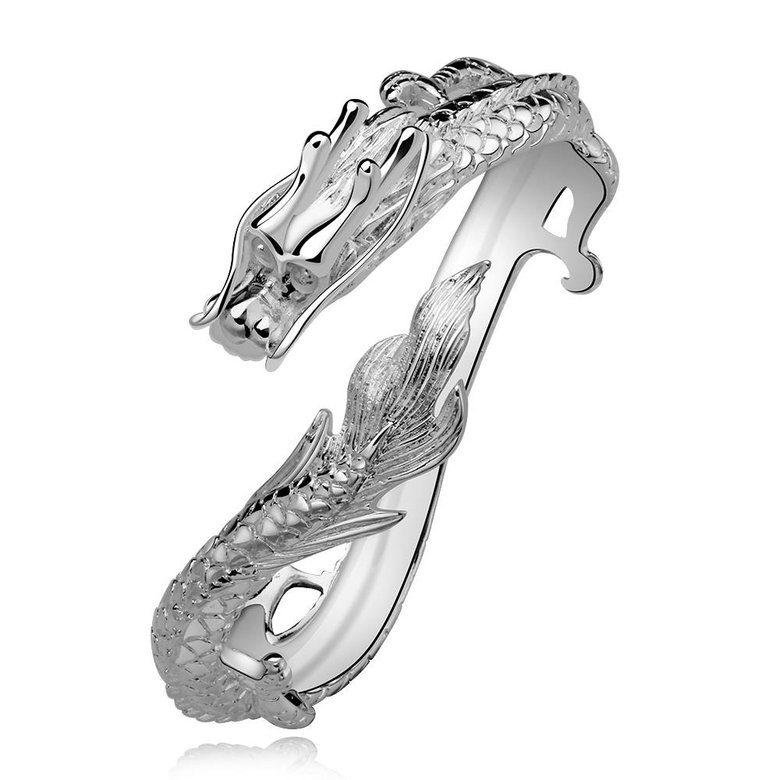 Wholesale Classic Silver Animal Bangle&Cuff TGSPBL146