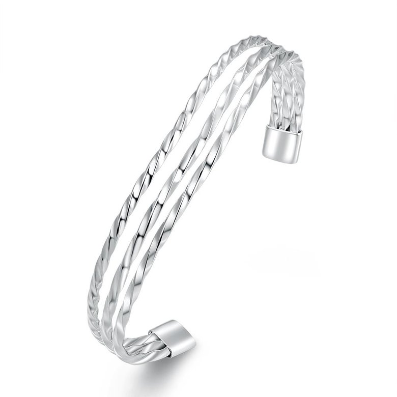 Wholesale Trendy Silver Round Bangle&Cuff TGSPBL011