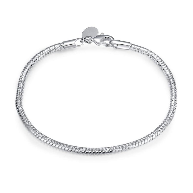 Wholesale Romantic Silver Round Bracelet TGSPB134