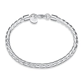 Wholesale Romantic Silver Round Bracelet TGSPB149