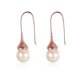 Wholesale Elegant Round Imitation Pearl Dangle Earrings rose gold Dazzling Women Engagement Wedding Graceful Accessories Fashion Earrings TGGPDE106