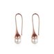 Wholesale Elegant Round Imitation Pearl Dangle Earrings rose gold Dazzling Women Engagement Wedding Graceful Accessories Fashion Earrings TGGPDE108