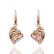 Wholesale Romantic Rose Gold Heart-Shaped AAA Zircon Earrings Charm Women Jewelry Fashion Wedding Party Gift TGGPDE111