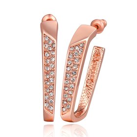 Wholesale Vintage Cubic Zirconia Stud Earrings HotSale Rose Gold Color Fashion Crystal Wedding party Jewelry For Women TGGPE138