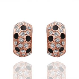 Wholesale New Fashion Round Stud Earrings for Women Girls Boho Top Quality Copper Zircon Gold Earrings Fine Party Outdoor Jewelry TGGPE253