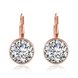 Wholesale Luxury Female white zircon Earrings Rose Gold Round Dangle Earrings For Women Hanging Water Drop Earrings fine wedding gift TGGPE028