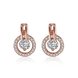 Wholesale Trendy Cubic Zirconia Gold Hoop Round Earrings Luxury Brand Pave High Quality Crystal Drop Earrings For Women Korean Jewelry TGGPE089