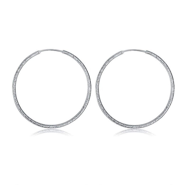 Wholesale Classic Trendy Silver plated Circle Hoop Earrings Round Stylish Earrings for women Engagement Christmas Gift TGHE005