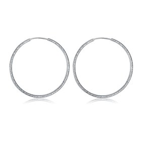 Wholesale Classic Trendy Silver plated Circle Hoop Earrings Round Stylish Earrings for women Engagement Christmas Gift TGHE005