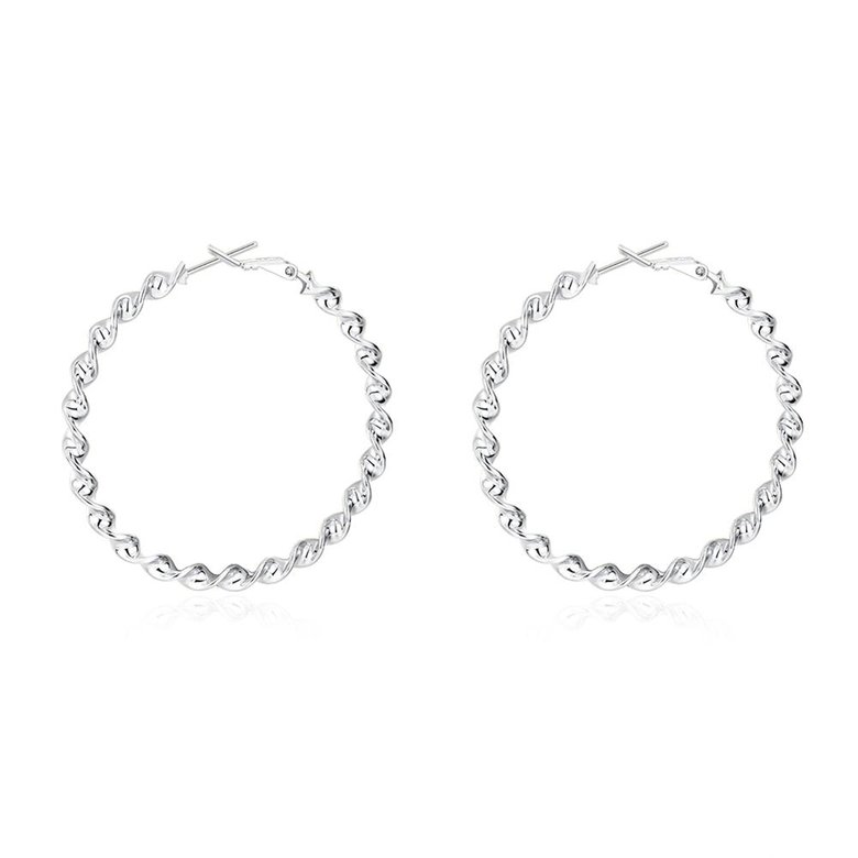 Wholesale Classic Trendy Silver plated Circle Twisted Hoop Earrings Round Stylish Earrings for women Engagement Christmas Gift TGHE006