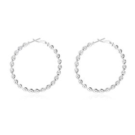 Wholesale Classic Trendy Silver plated Circle Twisted Hoop Earrings Round Stylish Earrings for women Engagement Christmas Gift TGHE006