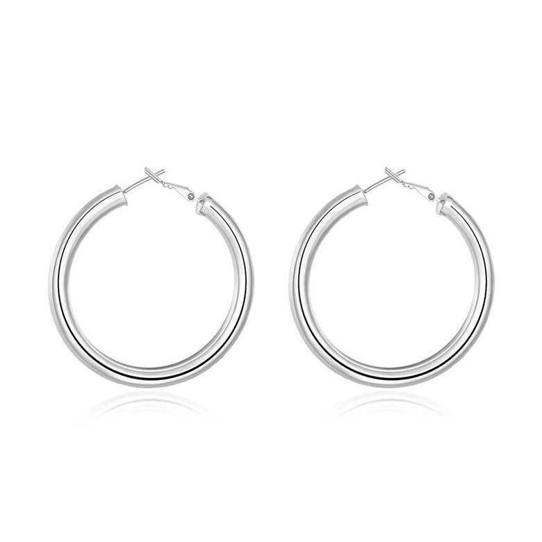 Wholesale Classic Trendy Silver plated Circle Hoop Earrings Round Stylish Earrings for women Engagement Christmas Gift TGHE007