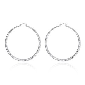 Wholesale Classic Trendy Silver plated Circle Hoop Earrings Round Stylish Earrings for women Engagement Christmas Gift TGHE010