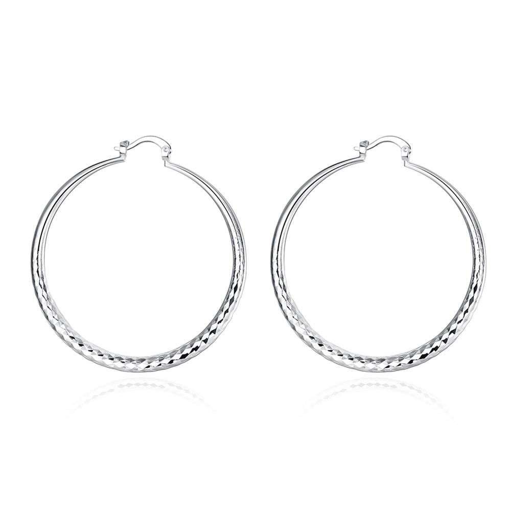 Wholesale Classic Trendy Silver plated Circle Hoop Earrings Round Stylish Earrings for women Engagement Christmas Gift TGHE012