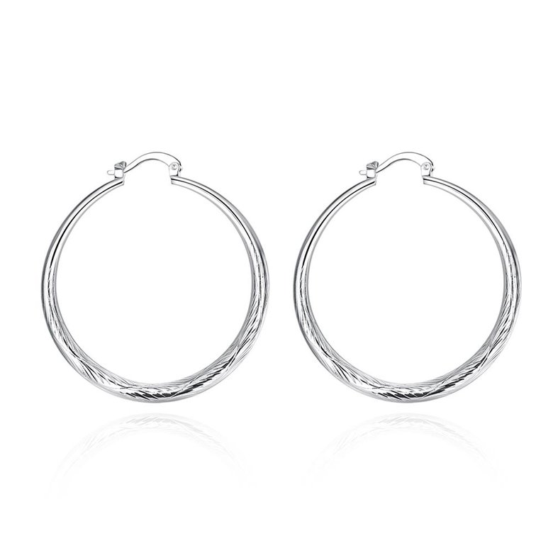 Wholesale Trendy Silver plated Circle Hoop Earrings Round Stylish Earrings for women Engagement Christmas Gift TGHE013