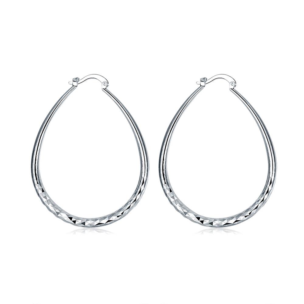 Wholesale Trendy Silver plated Circle Hoop Earrings Round Earrings Woman Jewelry Earrings Engagement Christmas Gift TGHE014
