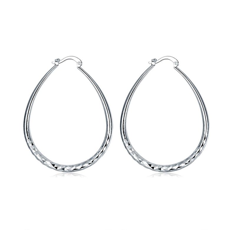 Wholesale Trendy Silver plated Circle Hoop Earrings Round Earrings Woman Jewelry Earrings Engagement Christmas Gift TGHE014