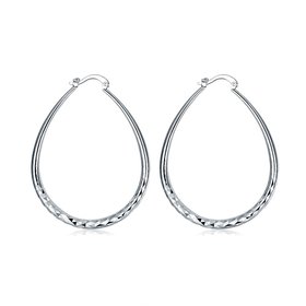 Wholesale Trendy Silver plated Circle Hoop Earrings Round Earrings Woman Jewelry Earrings Engagement Christmas Gift TGHE014