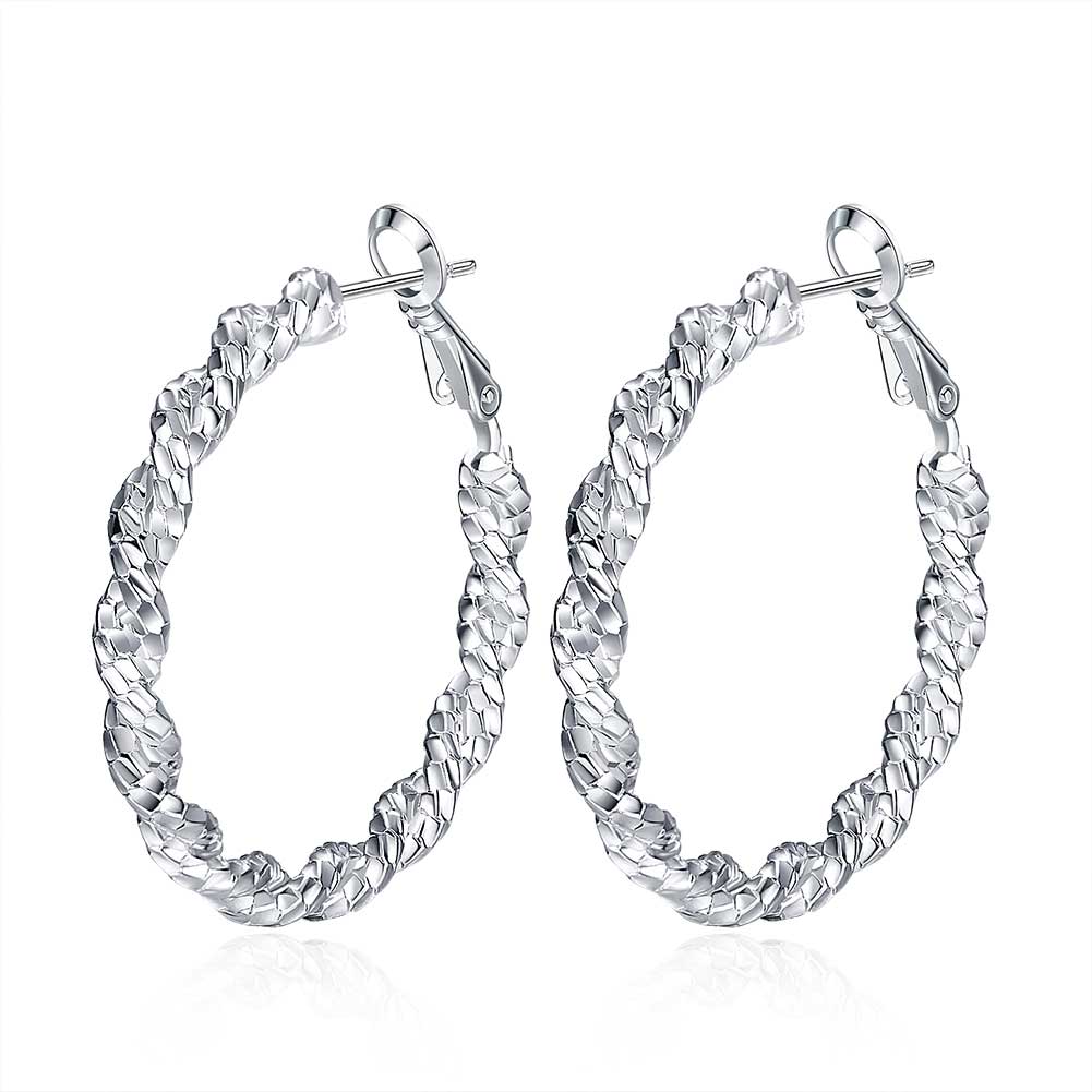 Wholesale Selling in Europe and AmericaSilver Round twist shape Hoop Earring For Women Lady Best Gift Fashion Charm party Jewelry TGHE044