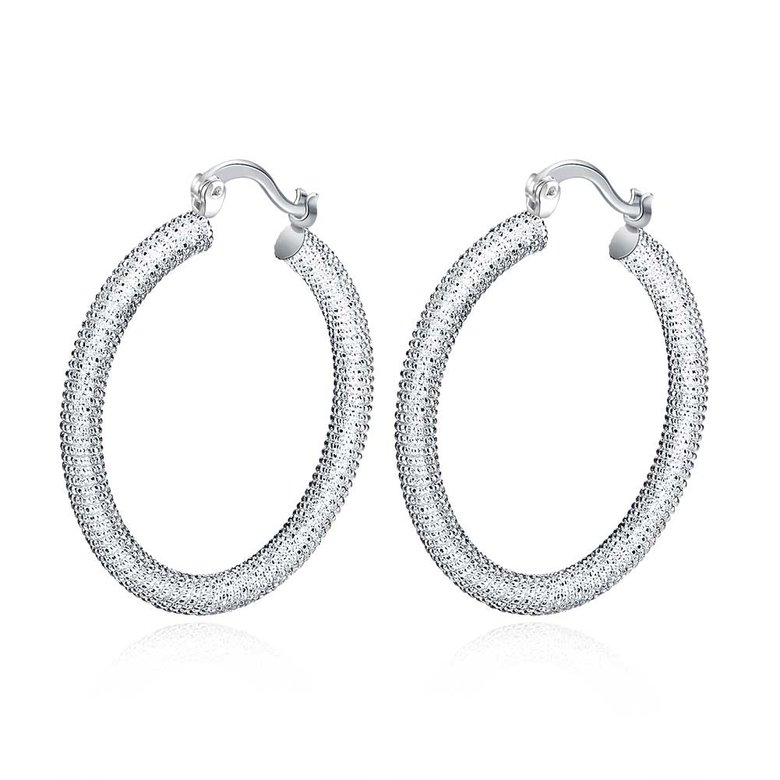 Wholesale Trendy Hot Sale Silver plated Simple round Hoop Earrings For Women Fashion Jewelry Wedding Accessories  TGHE045