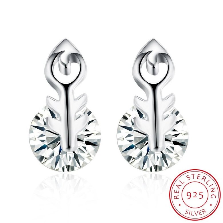 Wholesale Fashion delicate 925 Sterling Silver Jewelry Shine AAA Zircon Earrings For Women Girls New Gift Banquet Wedding TGSLE083