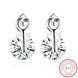 Wholesale Fashion delicate 925 Sterling Silver Jewelry Shine AAA Zircon Earrings For Women Girls New Gift Banquet Wedding TGSLE083