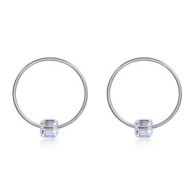 Wholesale Fashion 925 Sterling Silver Earrings For Women Girls Elegant large round crystal Earrings Party Wedding Jewelry Christmas Gifts  TGSLE023